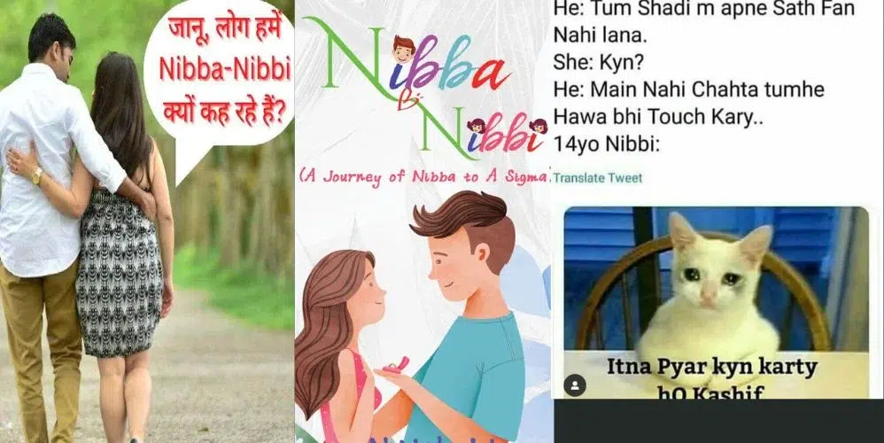 nibba-nibbi-meaning-in-hindi