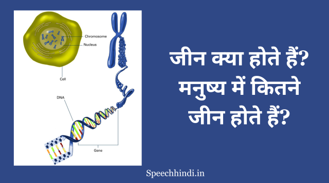 Gene Kise Kahte Hai | जीन क्या होते हैं, मनुष्य में कितने जीन होते हैं?